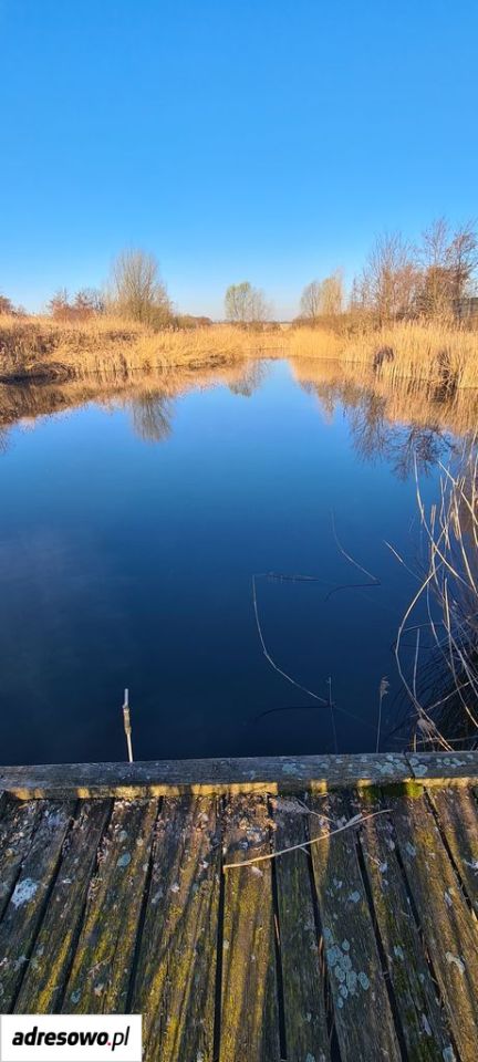 Działka inwestycyjna Grabów. Zdjęcie 2