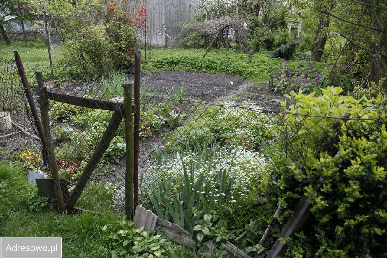 siedlisko, 3 pokoje Żmijowiska. Zdjęcie 16