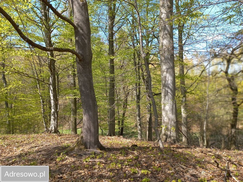 Działka rolna Niebrzydowo Wielkie. Zdjęcie 15