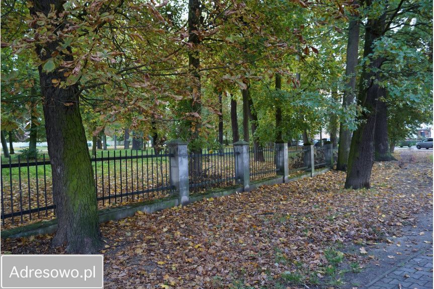 Działka budowlana Sulechów. Zdjęcie 4