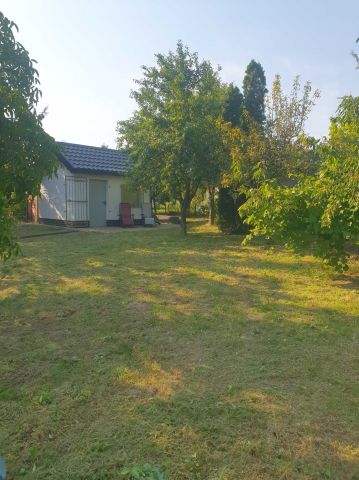 Działka rod Gorzów Wielkopolski, ul. Olimpijska. Zdjęcie 1