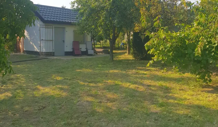 Działka rod Gorzów Wielkopolski, ul. Olimpijska