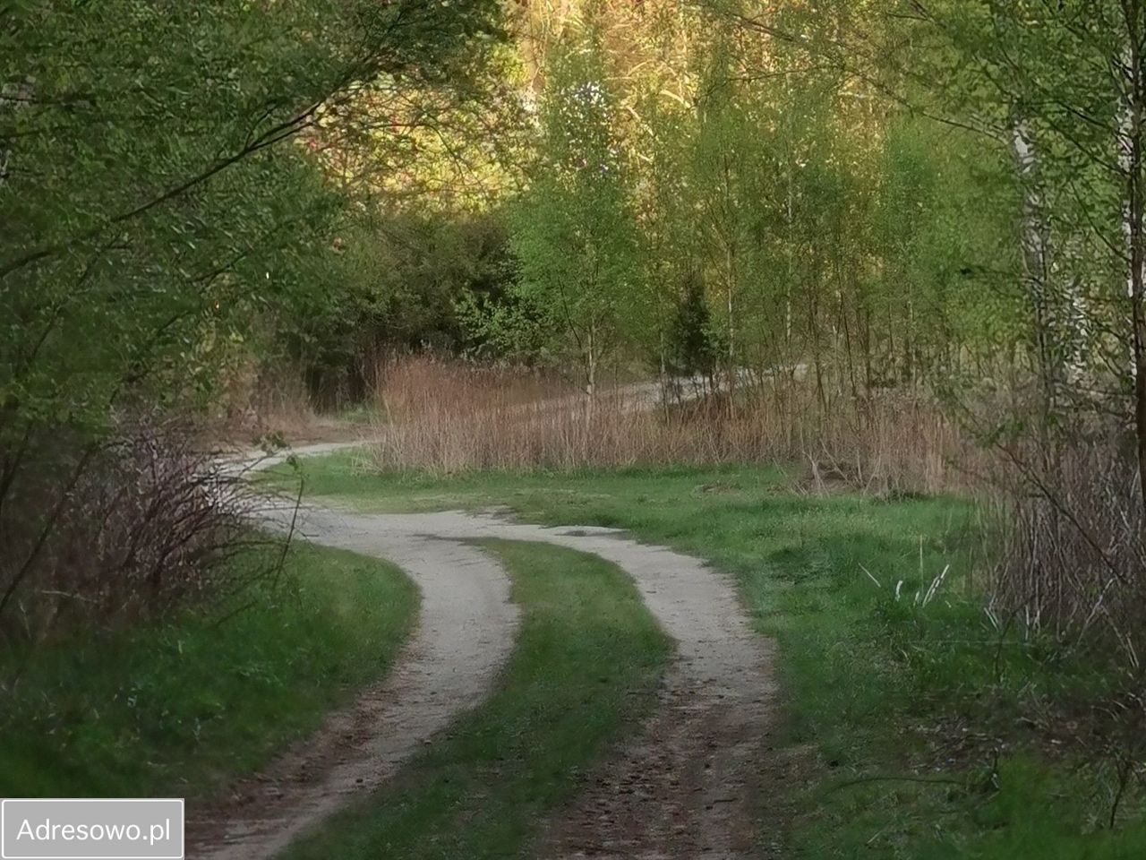 dom wolnostojący, 4 pokoje Radachówka. Zdjęcie 9