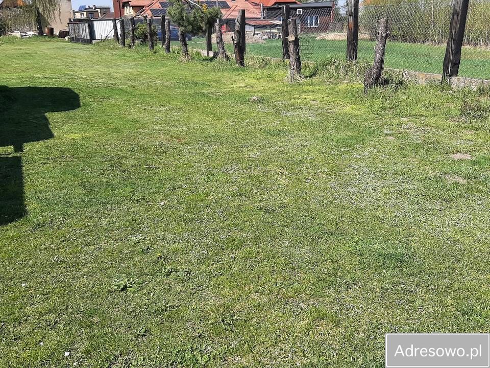 Hala/magazyn Książenice, ul. Brzozy. Zdjęcie 10