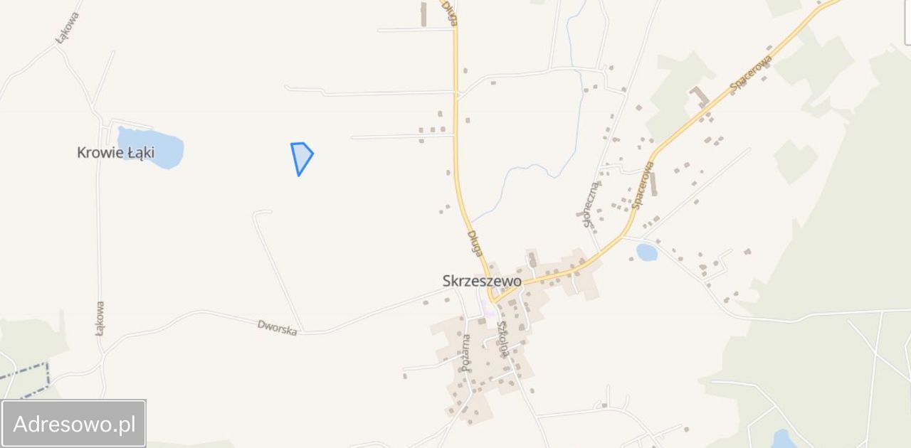 Działka rolna Skrzeszewo. Zdjęcie 3
