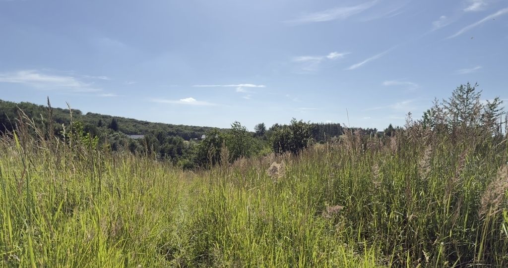 Działka inwestycyjna Hermanowa. Zdjęcie 2