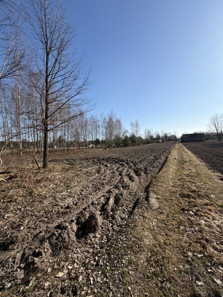 Działka rolno-budowlana Lipiny Dolne Kawęczyna, Lipiny Dolne. Zdjęcie 4