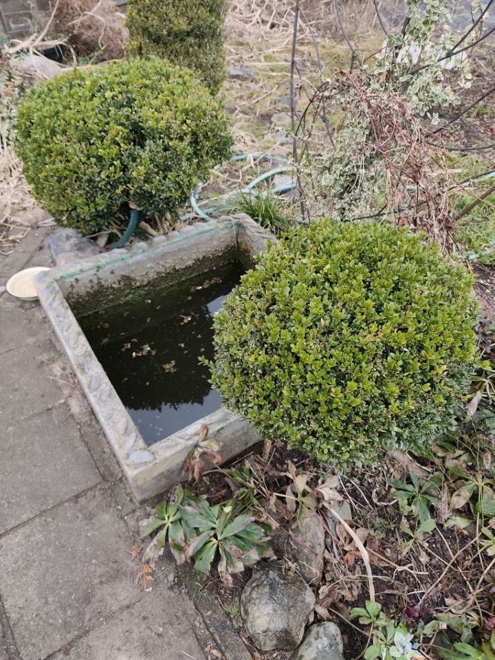 Działka rod Słupsk. Zdjęcie 4