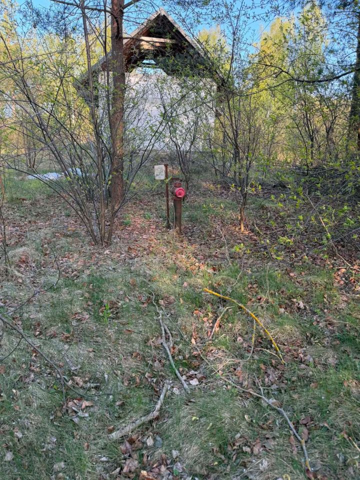 Działka rolno-budowlana Kubice. Zdjęcie 8