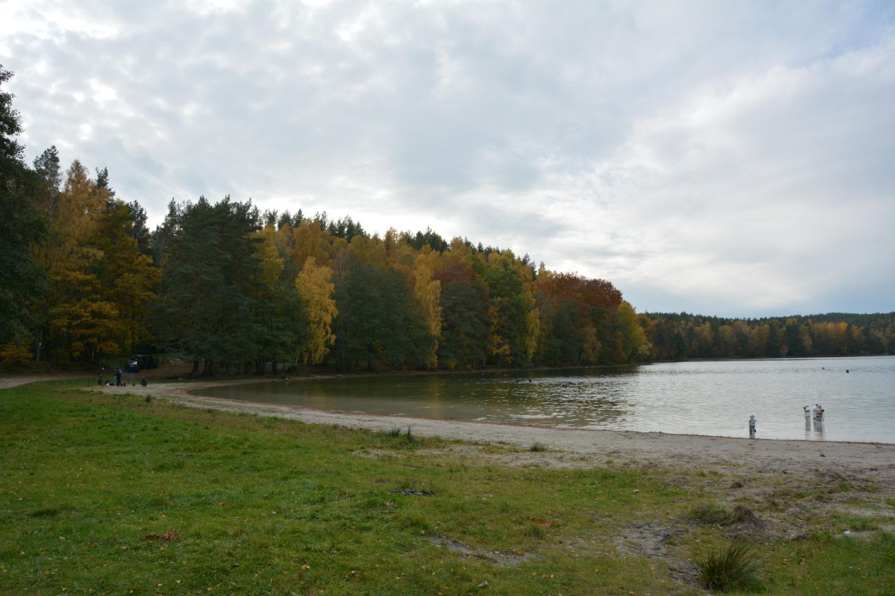 Działka rolno-budowlana Bieszkowice, ul. Polna. Zdjęcie 12