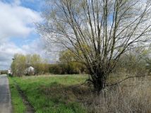 Działka budowlana Nowy Lubusz. Zdjęcie 4