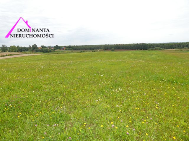 Działka rolna Gronowo. Zdjęcie 16
