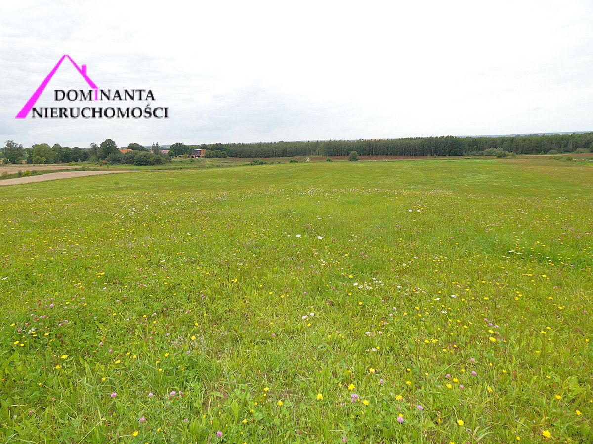 Działka rolna Gronowo. Zdjęcie 16