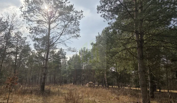 Działka budowlana Budy Zaklasztorne, ul. Mazowiecka