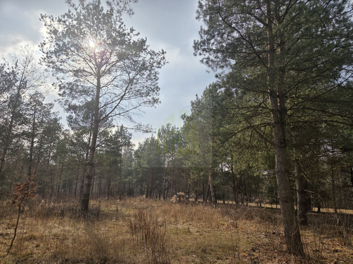 Działka budowlana Budy Zaklasztorne, ul. Mazowiecka. Zdjęcie 1