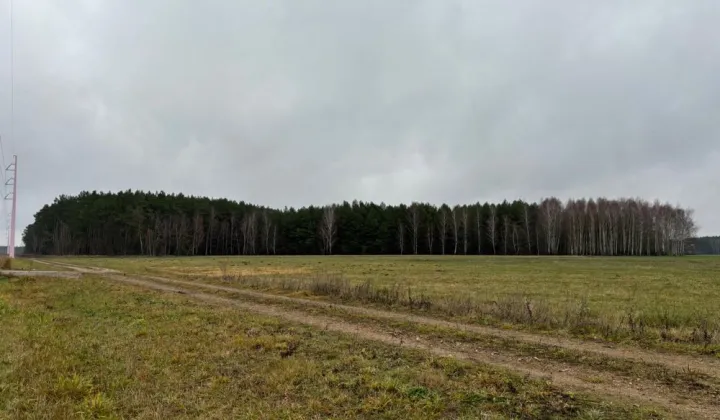Działka rolna Chorzele, ul. Macieja Rataja