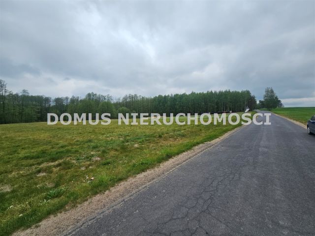 Działka siedliskowa Chociszew. Zdjęcie 2
