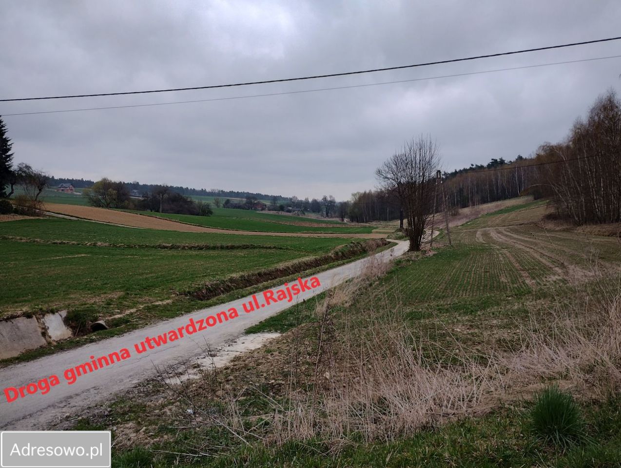 Działka budowlana Celiny, ul. Rajska. Zdjęcie 3