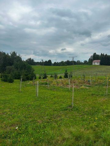 Działka budowlana Dominikowice. Zdjęcie 1