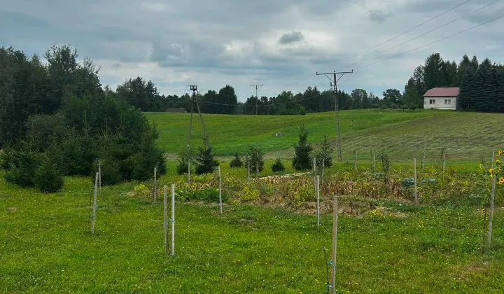 Działka budowlana Dominikowice