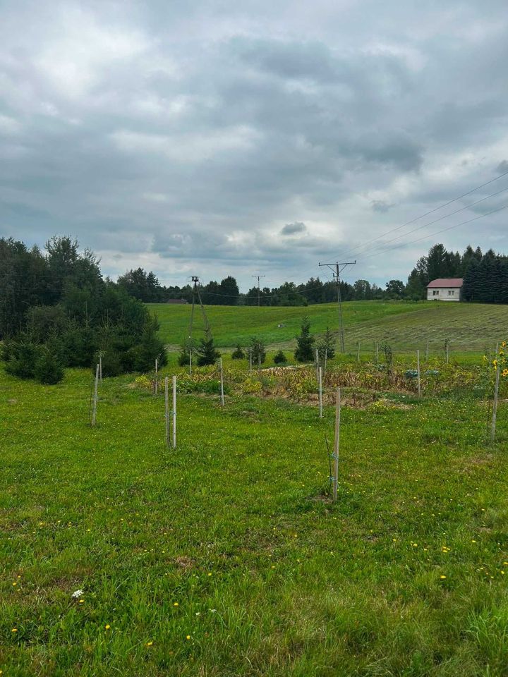 Działka budowlana Dominikowice. Zdjęcie 1