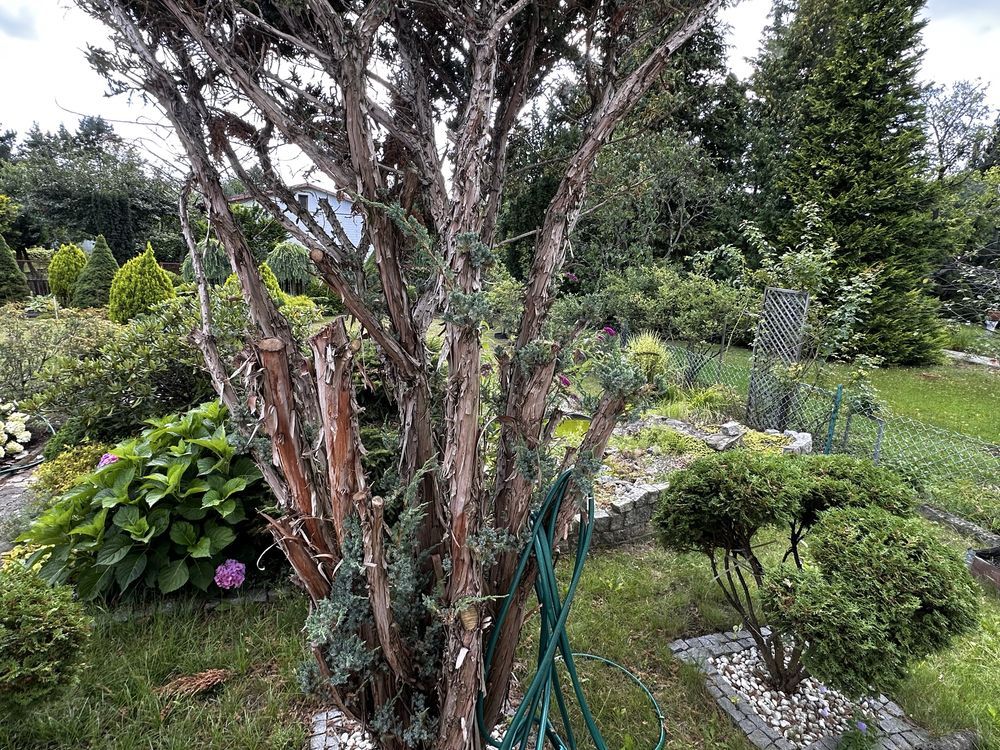 Działka rod Łódź Widzew, ul. Jana Kasprowicza. Zdjęcie 4