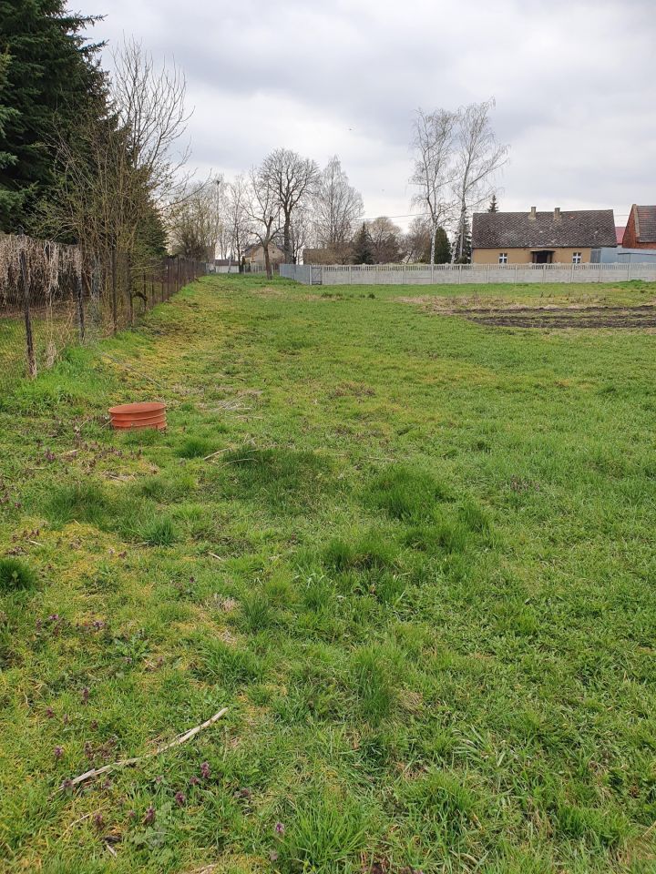 Działka budowlana Czerlejno, ul. Kostrzyńska. Zdjęcie 5