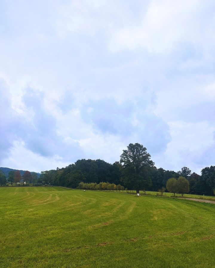 Działka budowlana Janowice Wielkie. Zdjęcie 18