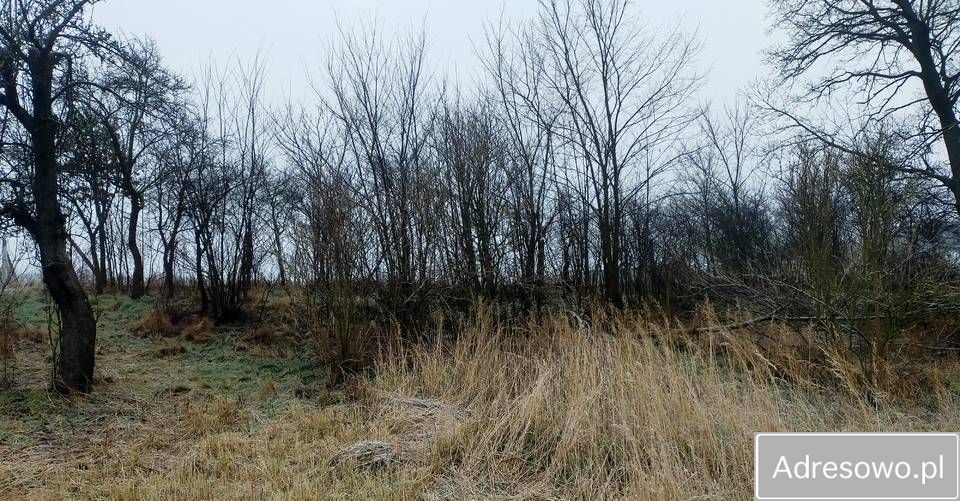 Działka budowlana Muszkowo. Zdjęcie 2