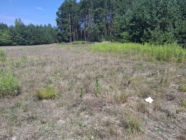 Działka budowlana Nowe Grabie. Zdjęcie 1