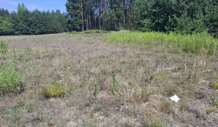 Działka budowlana Nowe Grabie