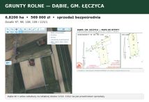 Działka rolna Dąbie. Zdjęcie 1