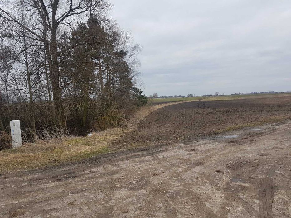 Działka rolno-budowlana Mystki. Zdjęcie 1