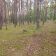 Działka budowlana Borek. Zdjęcie 8