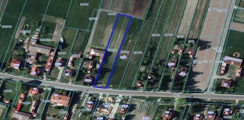 Działka rolno-budowlana Nowodwór. Zdjęcie 3