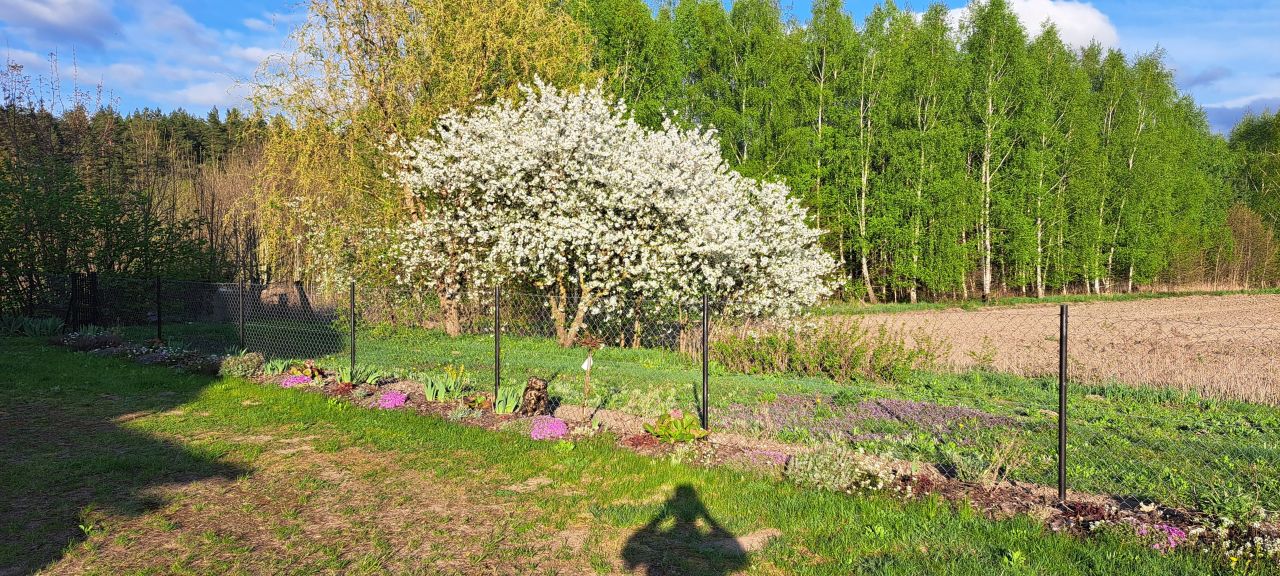 Mieszkanie 4-pokojowe Szwaruny. Zdjęcie 4