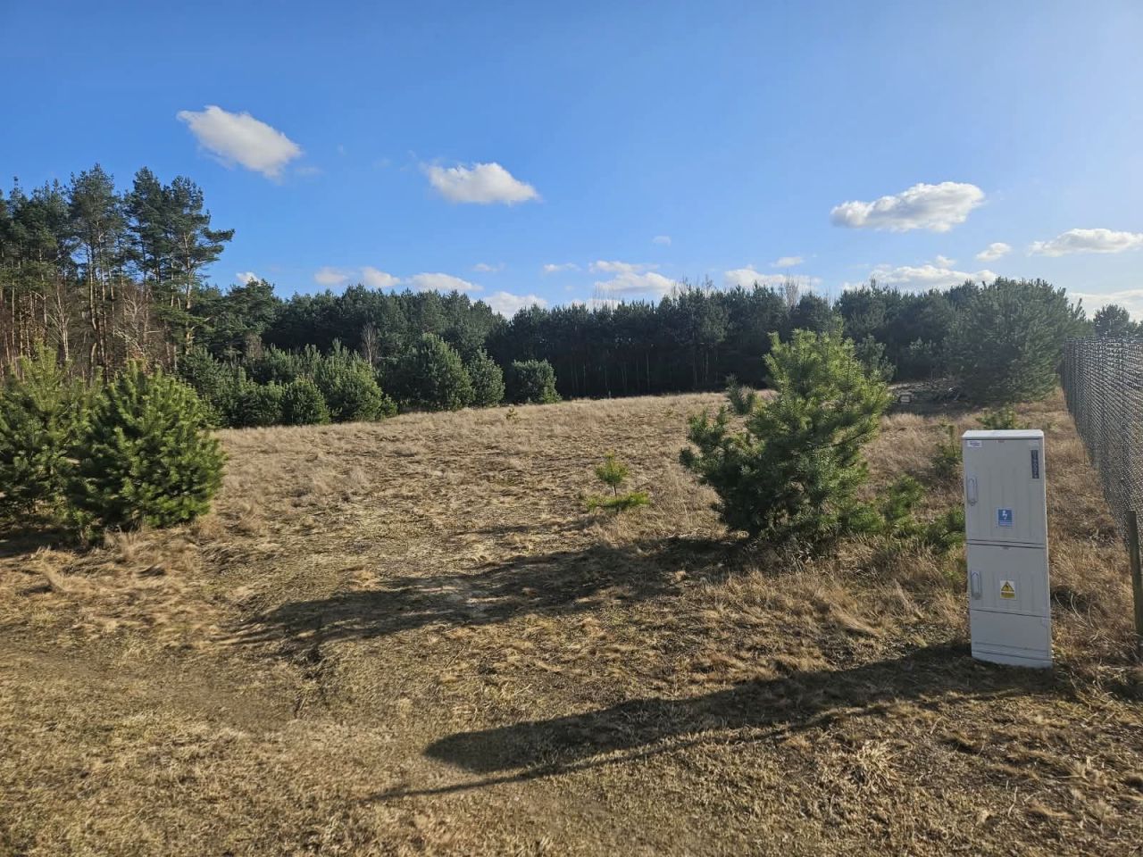 Działka budowlana Paruszka. Zdjęcie 6