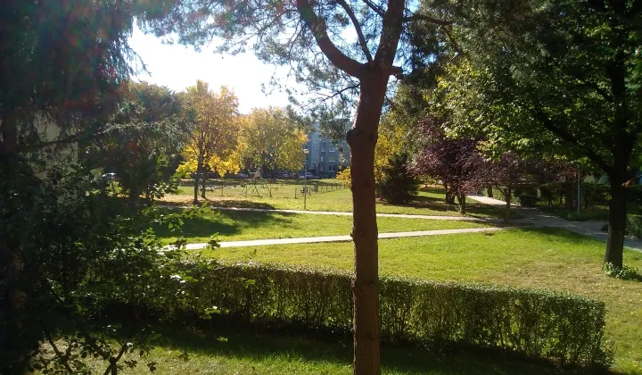 Mieszkanie 3-pokojowe Świdnica, ul. Emilii Plater