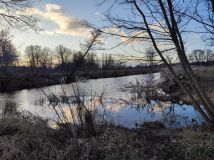 Działka budowlana Radzewice, ul. Konwaliowa. Zdjęcie 4