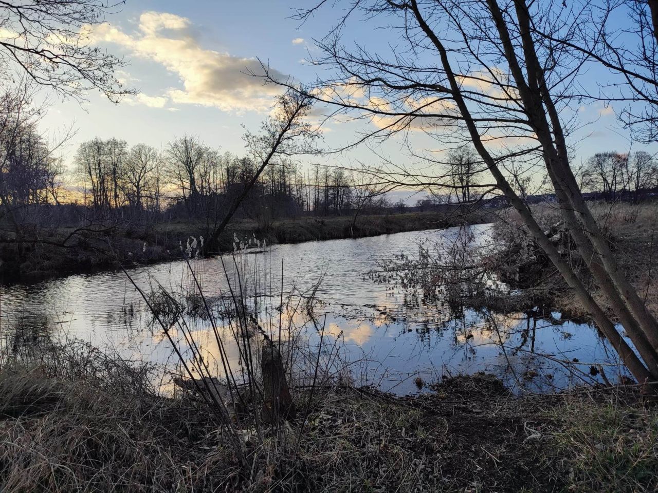 Działka budowlana Radzewice, ul. Konwaliowa. Zdjęcie 5