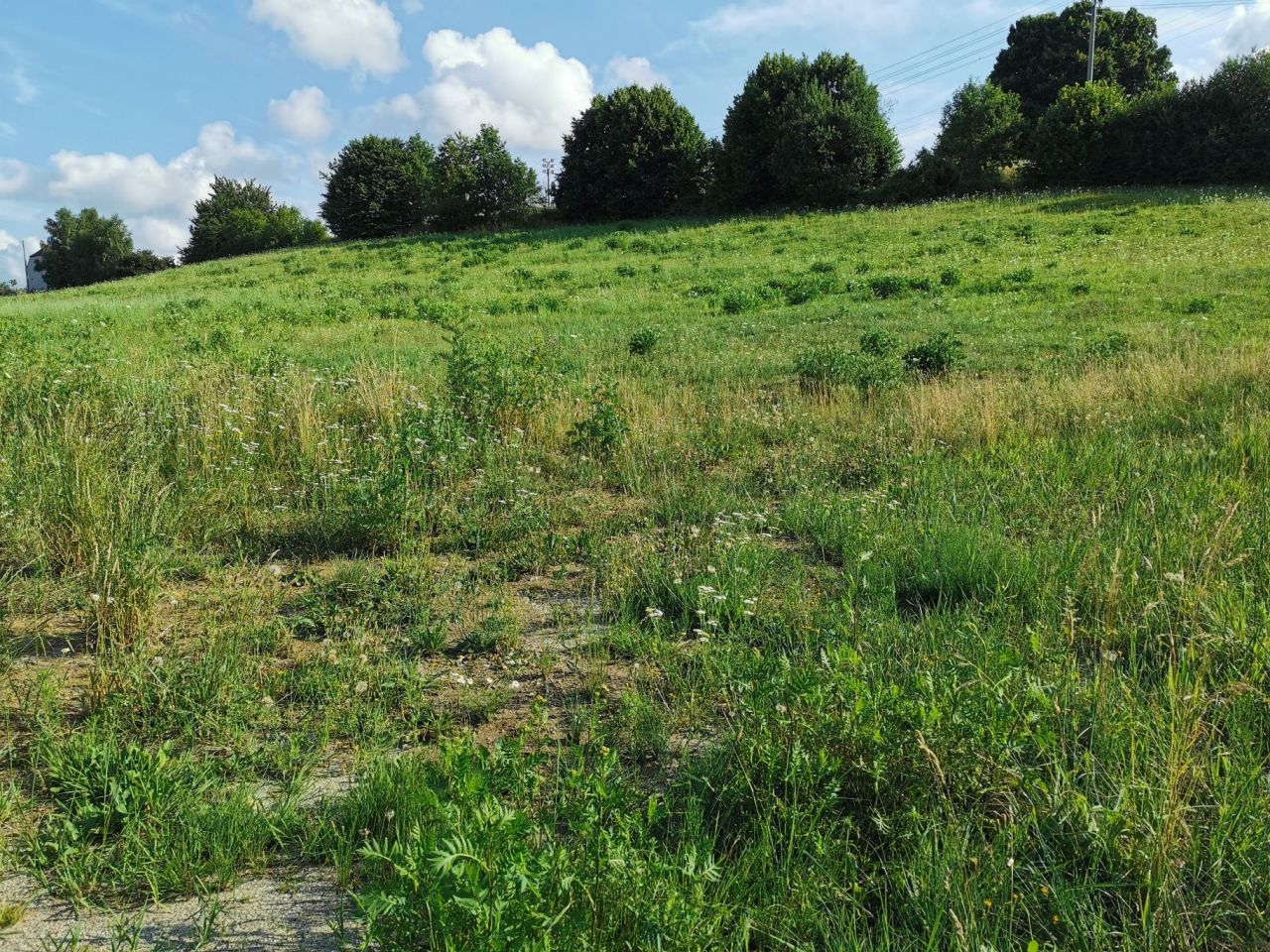 Działka budowlana Racibórz Brzezie, ul. Jagielnia. Zdjęcie 6