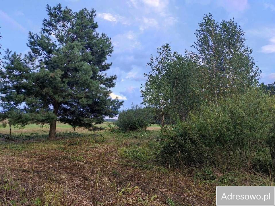 Działka budowlana Wysoka Głogowska. Zdjęcie 5