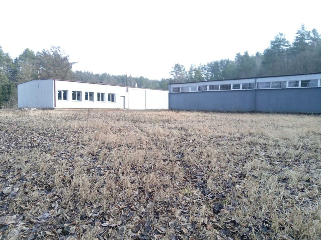 Hala/magazyn Sidra. Zdjęcie 5