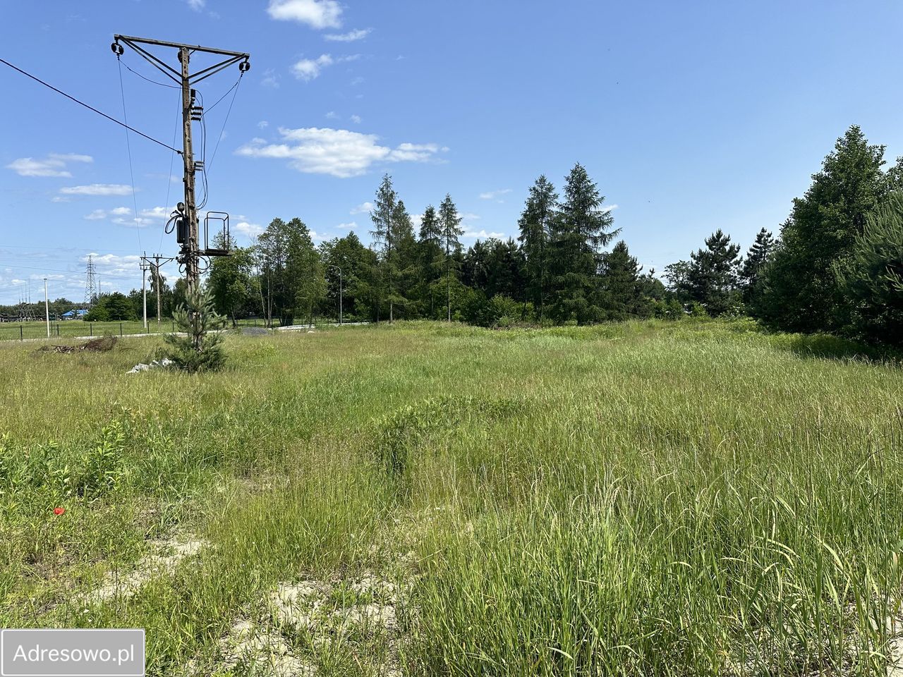 Hala/magazyn Sieniawa. Zdjęcie 17