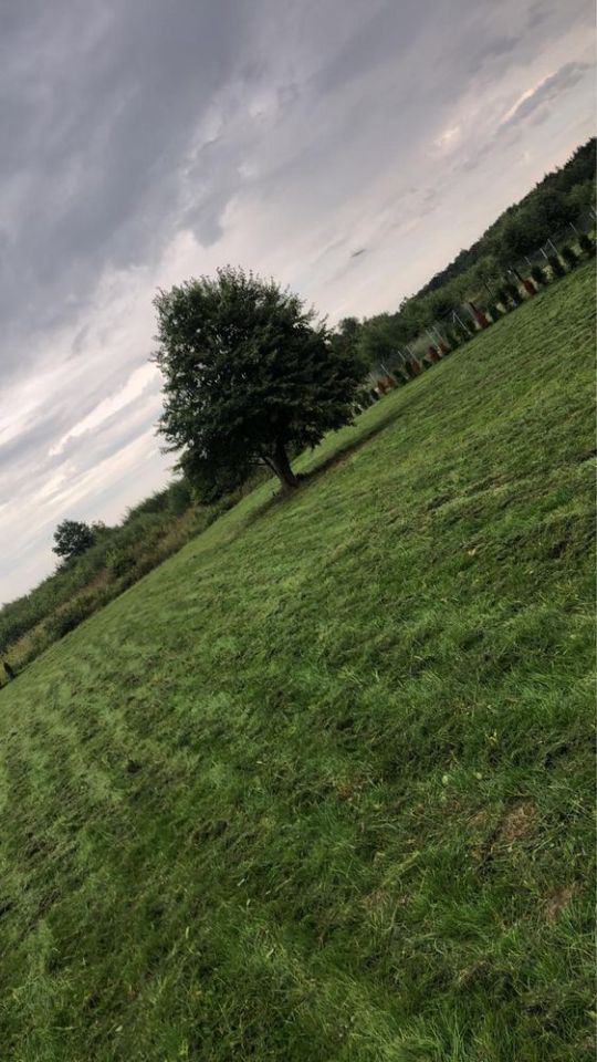 Działka budowlana Niewiastowo. Zdjęcie 7