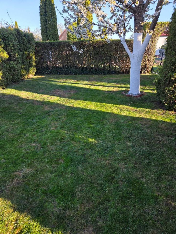 Działka rod Grudziądz. Zdjęcie 4