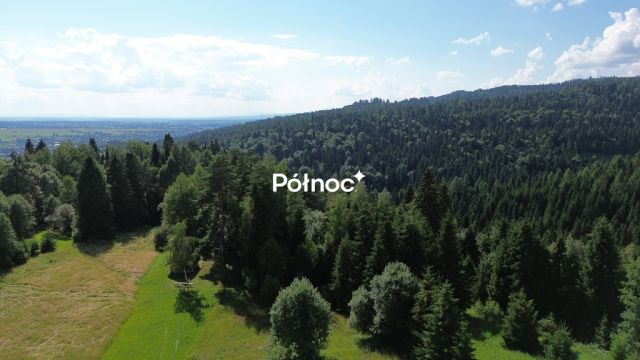 Działka rolna Łopuszna. Zdjęcie 4