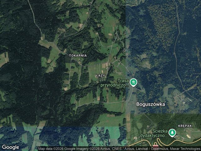 Działka leśna Korzeniec Łazy. Zdjęcie 1