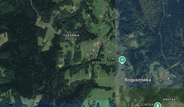 Działka leśna Korzeniec Łazy