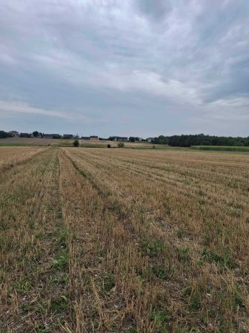 Działka rolna Mnichów. Zdjęcie 1